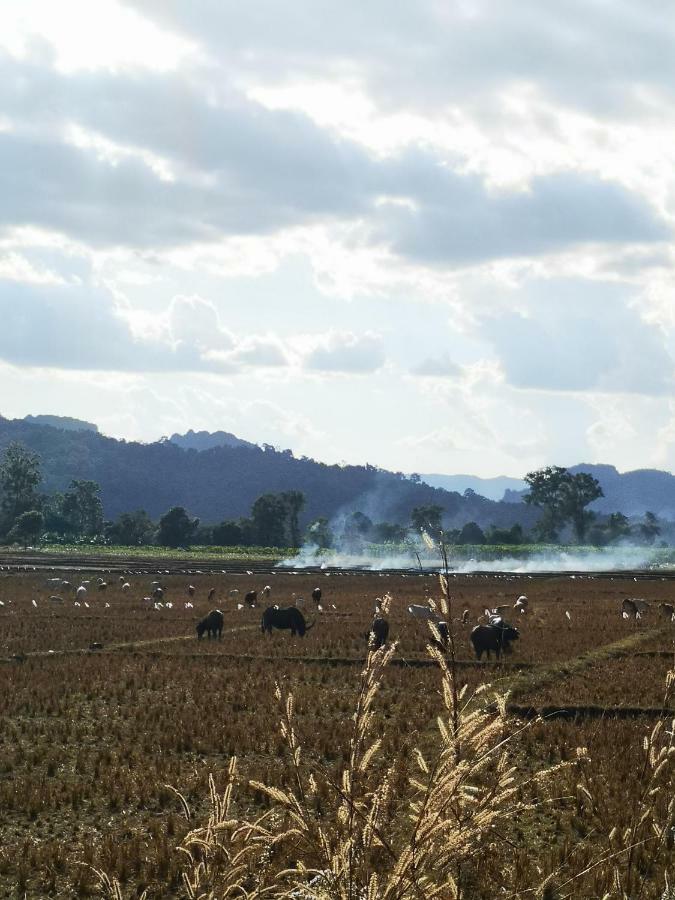 Vela Sustainable Living Villa ตาก ภายนอก รูปภาพ